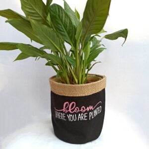 Planters – Bloom Where You are Planted