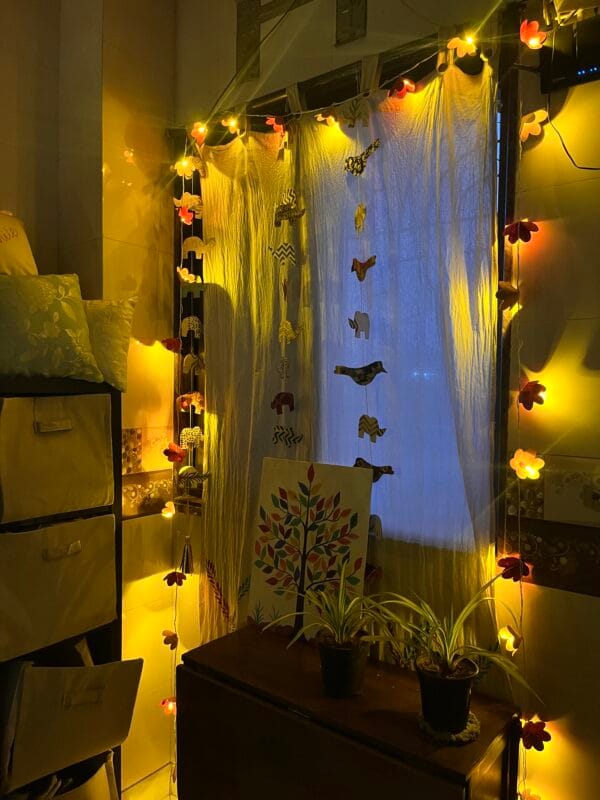 Display_Fairylights