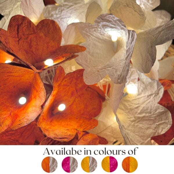 Orange and White_Fairy lights_LIt