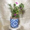 Blue and White_Texture_Planter