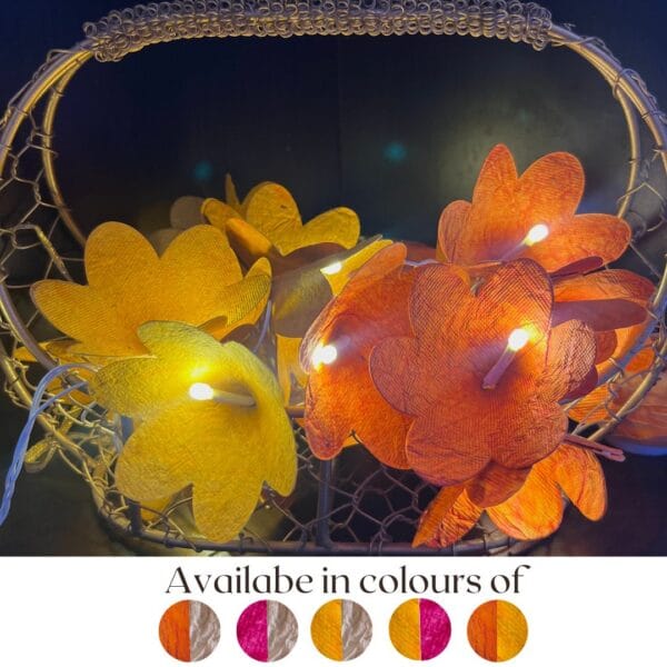 Orange and Yellow_Fairy lights